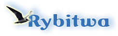 Rybitwa